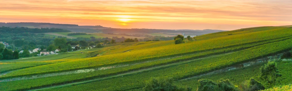 Consultant SEO Marne 51 2 consultant-SEO-Marne-51-région-Grand-Est