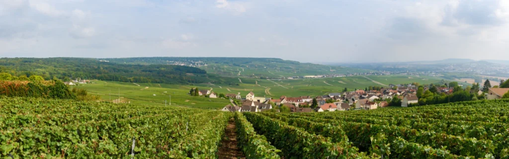 freelance-SEO-Fismes-département-de-la-Marne-51-région-Grand-Est