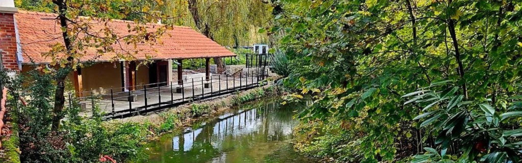 freelance-SEO-Cormontreuil-département-de-la-Marne-51-région-Grand-Est