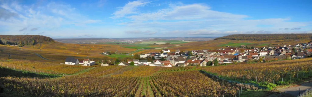 Freelance SEO Saint-Memmie (51) 2 freelance-SEO-Saint-Memmie-département-de-la-Marne-51-région-Grand-Est