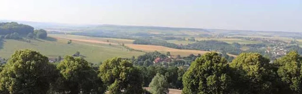freelance-SEO-à-Saint-Dizier