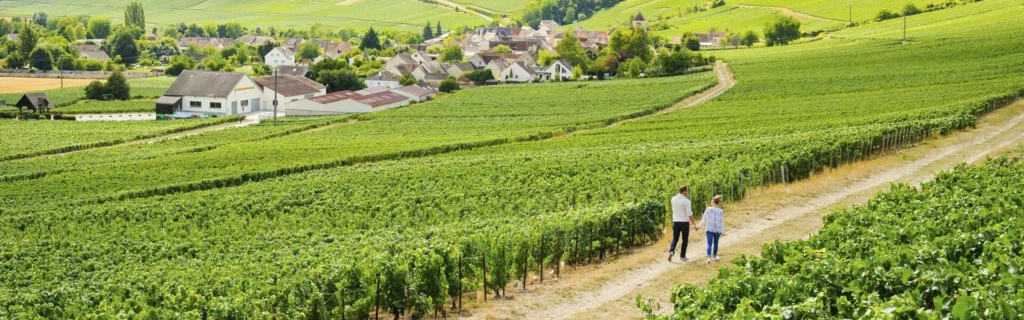 freelance SEO de l'Aisne